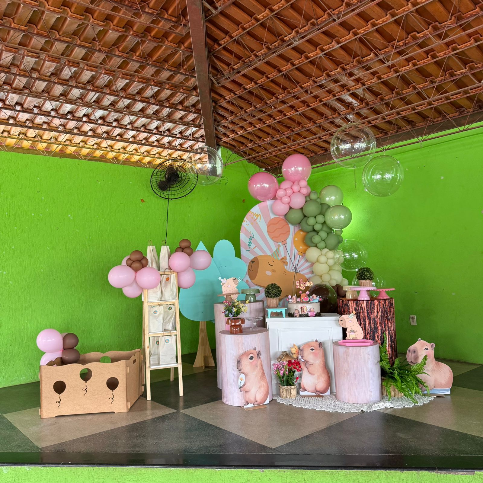 Decoração festa infantil feminina Porto Velho